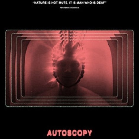 Autoscopy