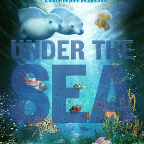 Under the Sea 3D