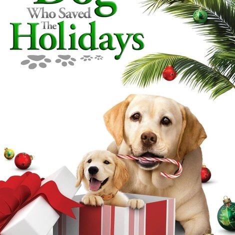 The Dog Who Saved the Holidays