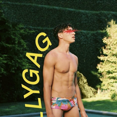 Lollygag