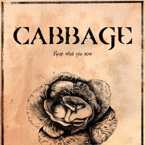 Cabbage