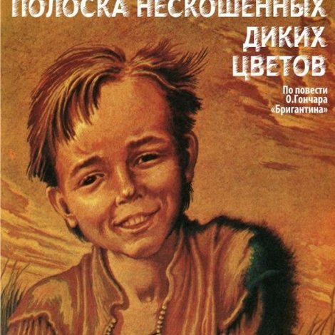 Полоска нескошенных диких цветов