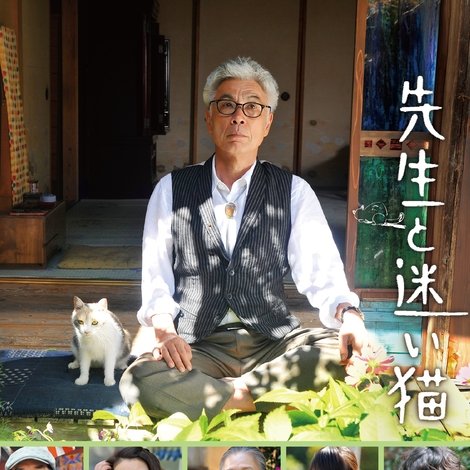 先生と迷い猫