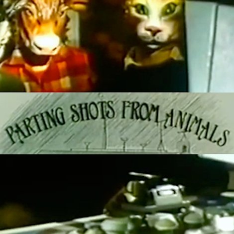 Parting Shots from Animals