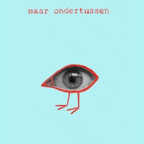 Paulien Cornelisse: Maar Ondertussen