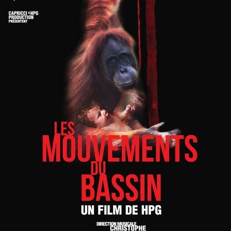 Les Mouvements du bassin