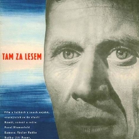 Tam za lesem