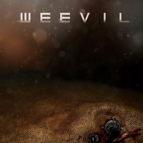Weevil