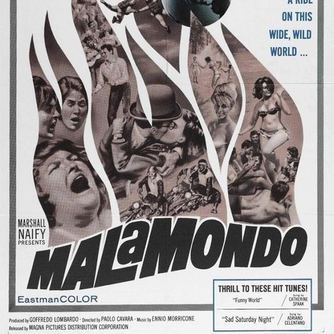 I malamondo