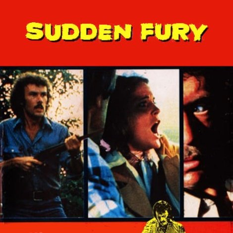 Sudden Fury