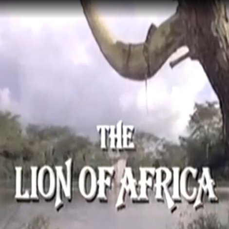 The Lion of Africa