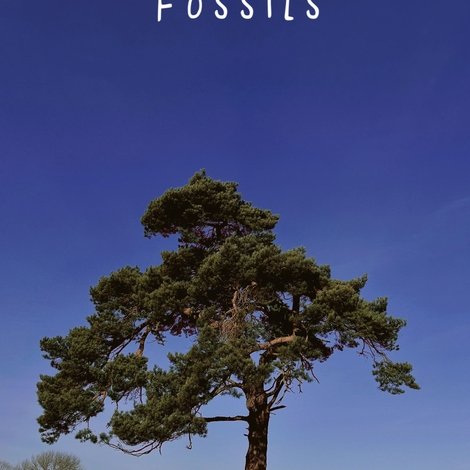 Future Fossils