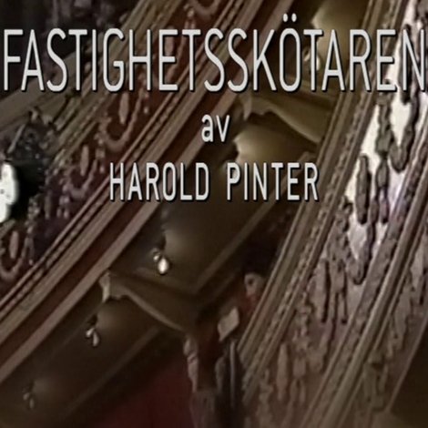 Fastighetsskötaren