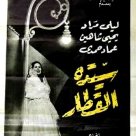 سيدة القطار