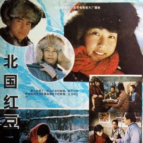 北国红豆