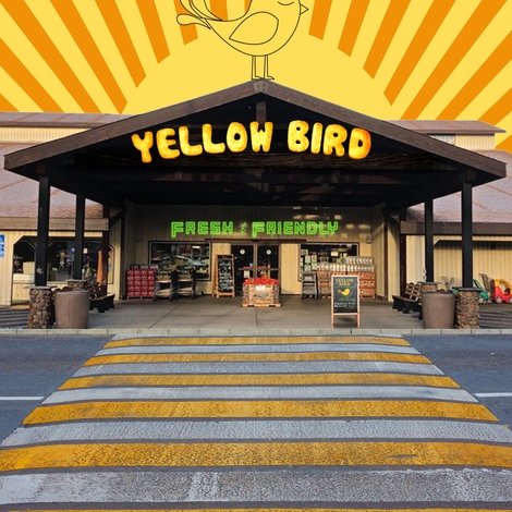 Yellow Bird