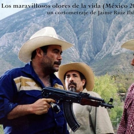 Los maravillosos olores de la vida