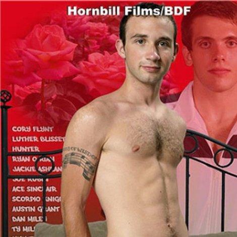 Straight Boys Gay Boys 2: I Never Promised You a Rose Garden