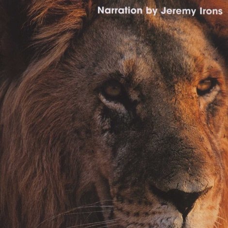 Ultimate Enemies: Elephants and Lions