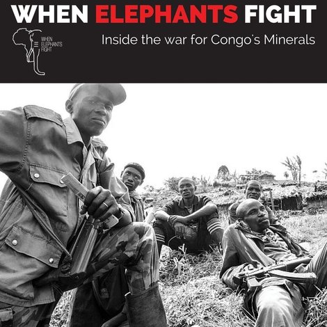 When Elephants Fight