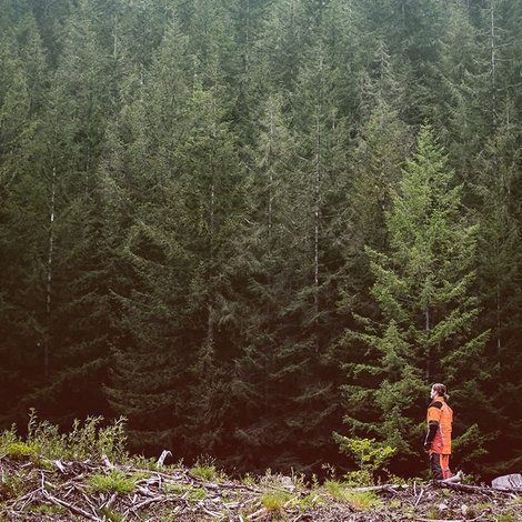 The Arborist