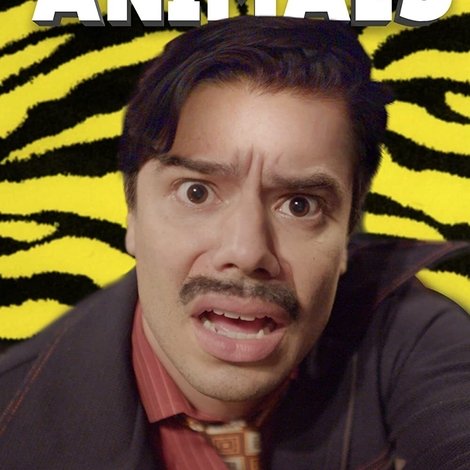 Zoo Animals