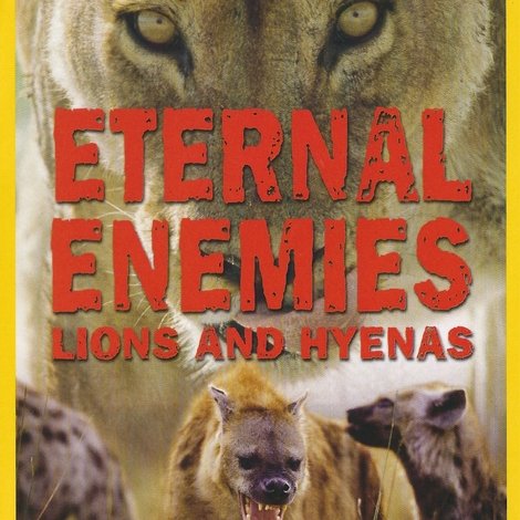 Eternal Enemies: Lions and Hyenas