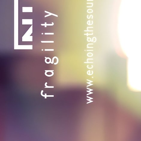 Nine Inch Nails: Fragility 1.0