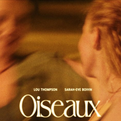Oiseaux de nuit