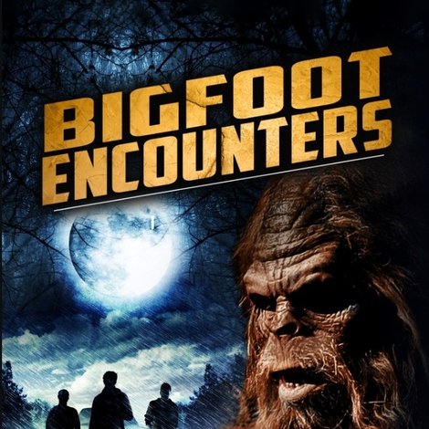 Bigfoot Encounters