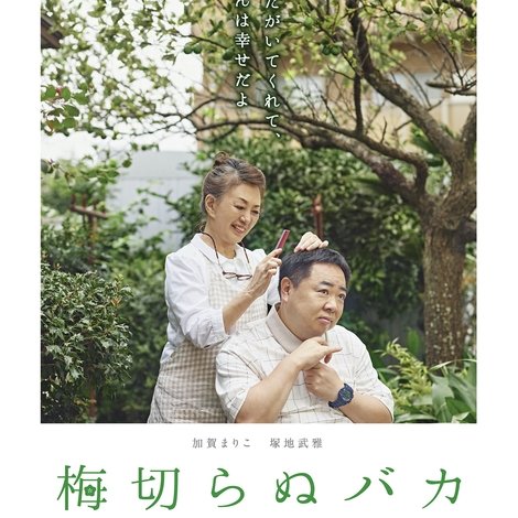 梅切らぬバカ