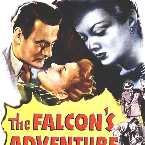 The Falcon's Adventure