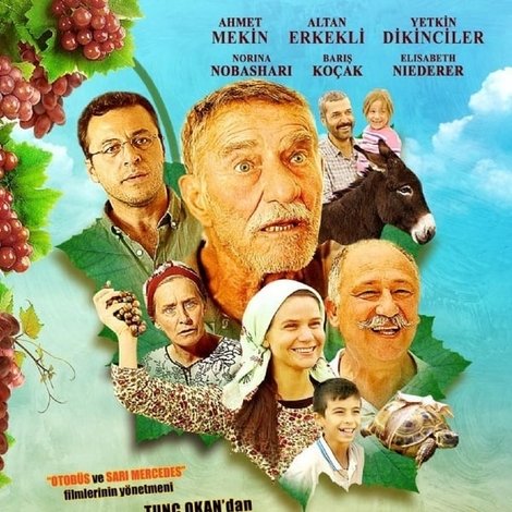 Umut Üzümleri