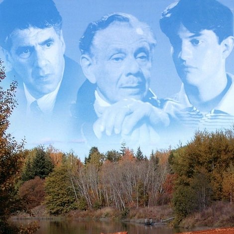Camp Stories