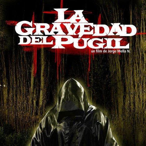 La gravedad del púgil