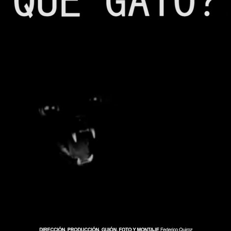 Qué gato?