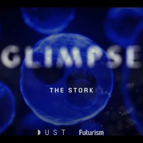 Glimpse Ep 2: The Stork