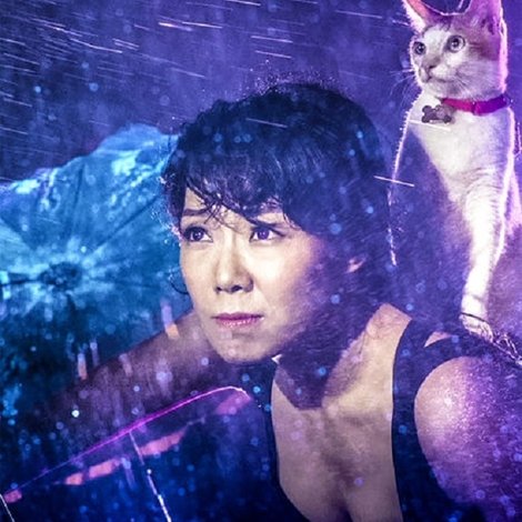 風大雨大 One Night Stand