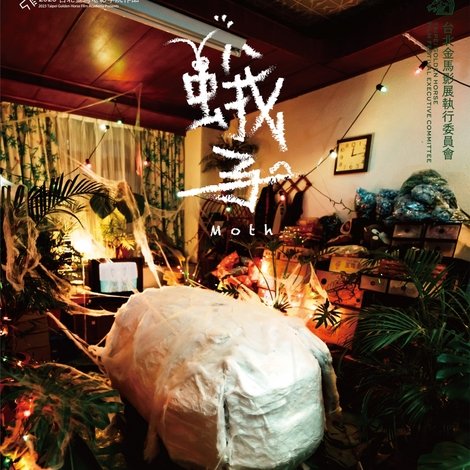 蛾子