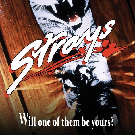Strays