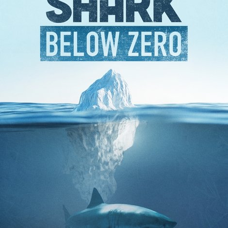 Shark Below Zero