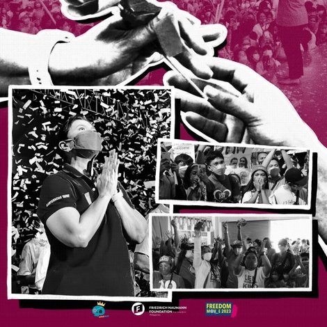 In The Trenches Of The Pink Revolution