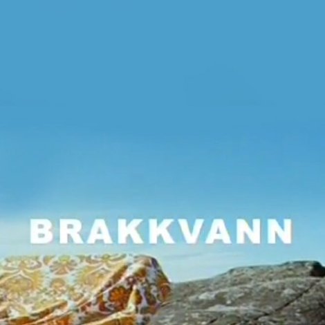 Brakkvann