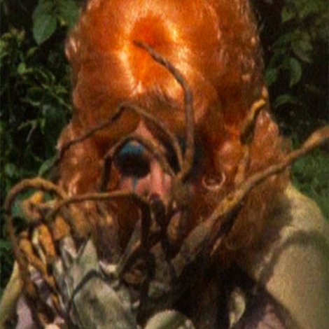 Stella Chase