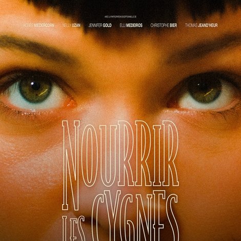 Nourrir les cygnes