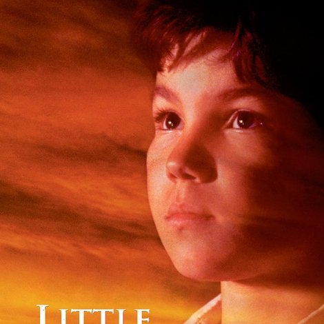 The Education of Little Tree