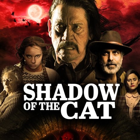 La sombra del gato