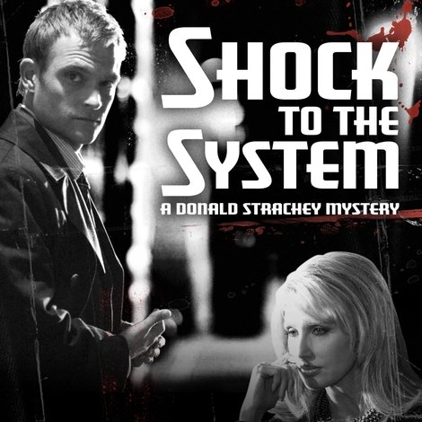 Shock to the System: A Donald Strachey Mystery