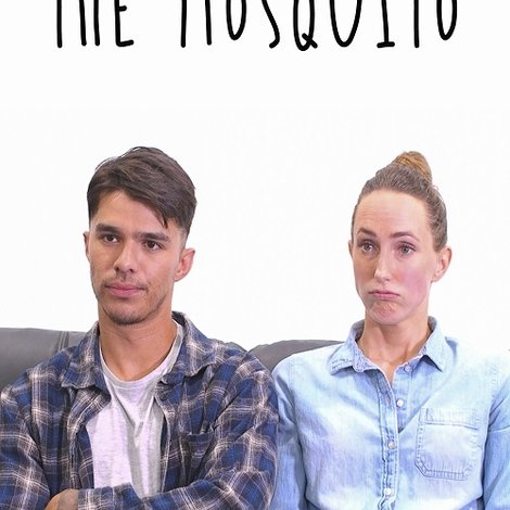 The Mosquito