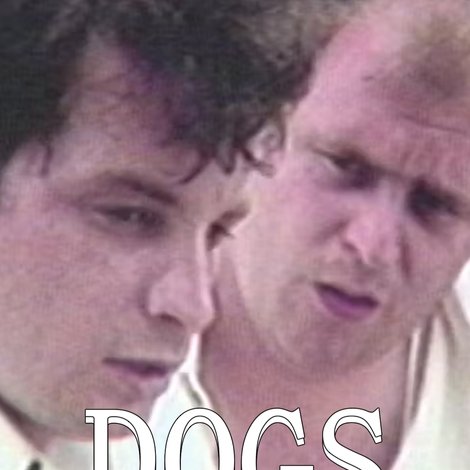 Dogs